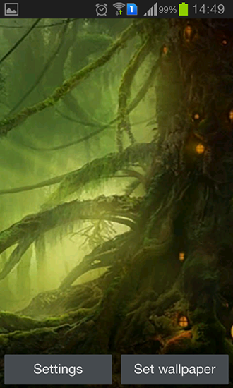 Floresta mágica