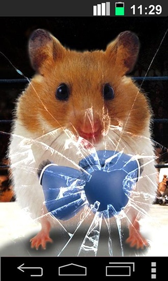 Hamster engraçado: Tela rachada