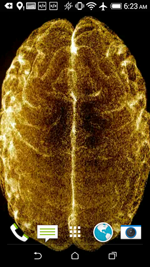 Cérebro de ouro HD