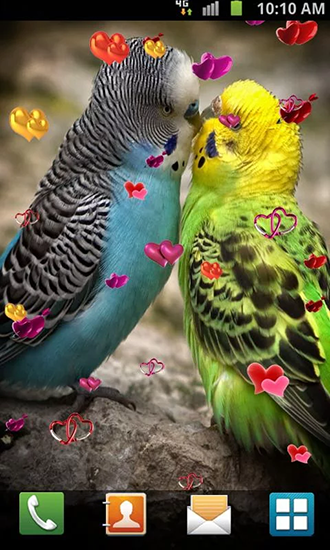 Amor: Aves