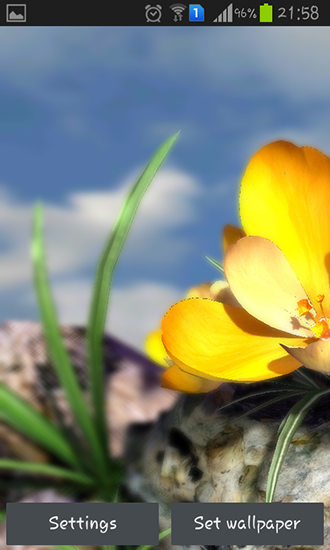 Natureza ao vivo: Flores de Primavera 3D