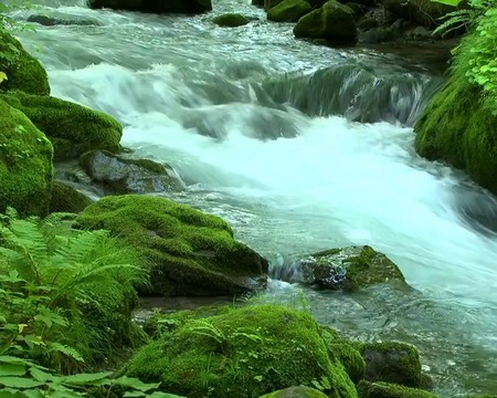 O fluxo do rio