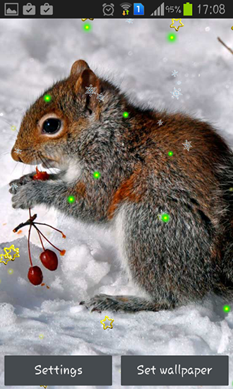 Esquilo de Inverno