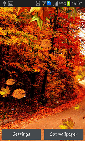 Ruas de outono