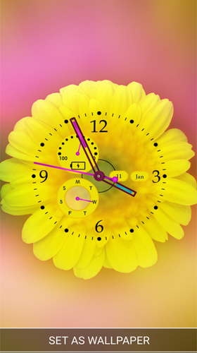 Relógio de flores 