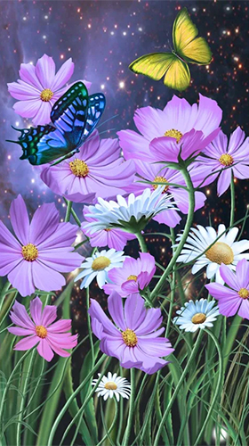 Verão: Flores e borboletas 