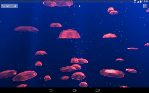 Águas-vivas 3D