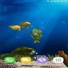 Além do papel de parede animado para Android Pombos, baixar do arquivo apk gratuito da imagem de fundo Peixes de aquário 3D .