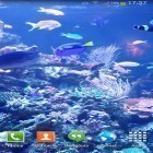 Além do papel de parede animado para Android Jardim da água, baixar do arquivo apk gratuito da imagem de fundo Aquário HD 2 .