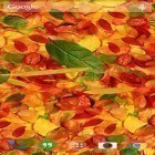 Além do papel de parede animado para Android Arte vivo 3D pró, baixar do arquivo apk gratuito da imagem de fundo Folhas de Outono .