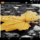 Além do papel de parede animado para Android Incríveis flores da primavera, baixar do arquivo apk gratuito da imagem de fundo Papel de parede de outono .