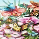 Além do papel de parede animado para Android Verão: Flores e borboletas , baixar do arquivo apk gratuito da imagem de fundo Borboletas .