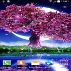 Baixar papel de parede animado Cereja em flor  para desktop de celular ou tablet.