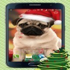 Além do papel de parede animado para Android Relógio de coração, baixar do arquivo apk gratuito da imagem de fundo Cães de natal .