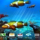 Além do papel de parede animado para Android Fofo , baixar do arquivo apk gratuito da imagem de fundo Aquário de peixes palhaços 3D .