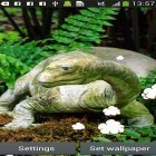 Além do papel de parede animado para Android Queda das folhas HD, baixar do arquivo apk gratuito da imagem de fundo Dinossauro .