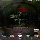 Além do papel de parede animado para Android Gato Perseguidor, baixar do arquivo apk gratuito da imagem de fundo Rosa encantada .