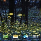 Além do papel de parede animado para Android Natureza ao vivo: Flores de Primavera 3D, baixar do arquivo apk gratuito da imagem de fundo Vagalumes .