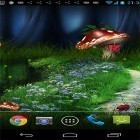 Baixar Vaga-lume  para Android, bem como dos outros papéis de parede animados gratuitos para HTC Wildfire S.