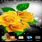 Além do papel de parede animado para Android Minha data HD, baixar do arquivo apk gratuito da imagem de fundo Flores .