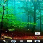 Além do papel de parede animado para Android Camomila de verão, baixar do arquivo apk gratuito da imagem de fundo Floresta .