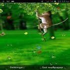 Além do papel de parede animado para Android Árvore de Natal , baixar do arquivo apk gratuito da imagem de fundo Macaco engraçado .