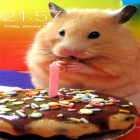 Além do papel de parede animado para Android Bolhas, baixar do arquivo apk gratuito da imagem de fundo Hamster.