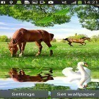Além do papel de parede animado para Android Estrela e universo, baixar do arquivo apk gratuito da imagem de fundo Cavalos .