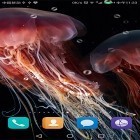 Além do papel de parede animado para Android Terra de Papel pró, baixar do arquivo apk gratuito da imagem de fundo Água-viva .