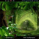 Além do papel de parede animado para Android Folhas frescas, baixar do arquivo apk gratuito da imagem de fundo Selva .