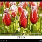 Além do papel de parede animado para Android Nexus triângulos, baixar do arquivo apk gratuito da imagem de fundo Minha flor 3D .