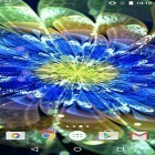 Além do papel de parede animado para Android Minha casa de madeira, baixar do arquivo apk gratuito da imagem de fundo Flores de neon .