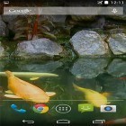 Além do papel de parede animado para Android Relógio Preto, baixar do arquivo apk gratuito da imagem de fundo Lagoa com koi .