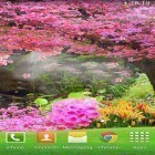 Além do papel de parede animado para Android Floresta, cachoeira, lago, baixar do arquivo apk gratuito da imagem de fundo Sakura .