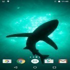 Além do papel de parede animado para Android Fluido, baixar do arquivo apk gratuito da imagem de fundo Tubarões .