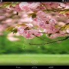 Além do papel de parede animado para Android Floco de neve 3D, baixar do arquivo apk gratuito da imagem de fundo Flores da primavera .