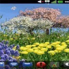 Além do papel de parede animado para Android Amor: Relógio, baixar do arquivo apk gratuito da imagem de fundo Flores da primavera .