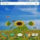 Além do papel de parede animado para Android Peixinho , baixar do arquivo apk gratuito da imagem de fundo Girassol 3D .