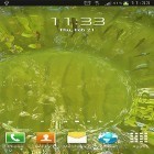 Baixar Água verdadeira  para Android, bem como dos outros papéis de parede animados gratuitos para Lenovo A6010.
