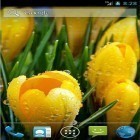 Além do papel de parede animado para Android Poder da vida, baixar do arquivo apk gratuito da imagem de fundo Incríveis flores da primavera.