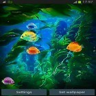 Além do papel de parede animado para Android Aquário de oceano 3D: Ilhas de tartaruga , baixar do arquivo apk gratuito da imagem de fundo Aquário 3D.