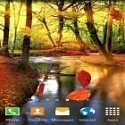 Além do papel de parede animado para Android Motocicleta , baixar do arquivo apk gratuito da imagem de fundo Floresta do outono.