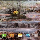 Além do papel de parede animado para Android Golfinho do mar, baixar do arquivo apk gratuito da imagem de fundo Paisagem do outono.
