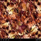 Além do papel de parede animado para Android Tempestade, baixar do arquivo apk gratuito da imagem de fundo Folhas de outono 3D.