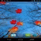 Além do papel de parede animado para Android O céu azul, baixar do arquivo apk gratuito da imagem de fundo Plátano do outono.