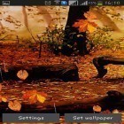 Além do papel de parede animado para Android Árvore de outono, baixar do arquivo apk gratuito da imagem de fundo Chuva de outono.