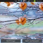 Além do papel de parede animado para Android Sakura transparente , baixar do arquivo apk gratuito da imagem de fundo Pingos de chuva de outono.
