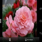 Além do papel de parede animado para Android Os vingadores, baixar do arquivo apk gratuito da imagem de fundo Flores bonitas.