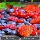 Além do papel de parede animado para Android Refrigerador verde, baixar do arquivo apk gratuito da imagem de fundo Bagas.