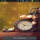 Além do papel de parede animado para Android Pássaro bonito, baixar do arquivo apk gratuito da imagem de fundo Melhor tempo.